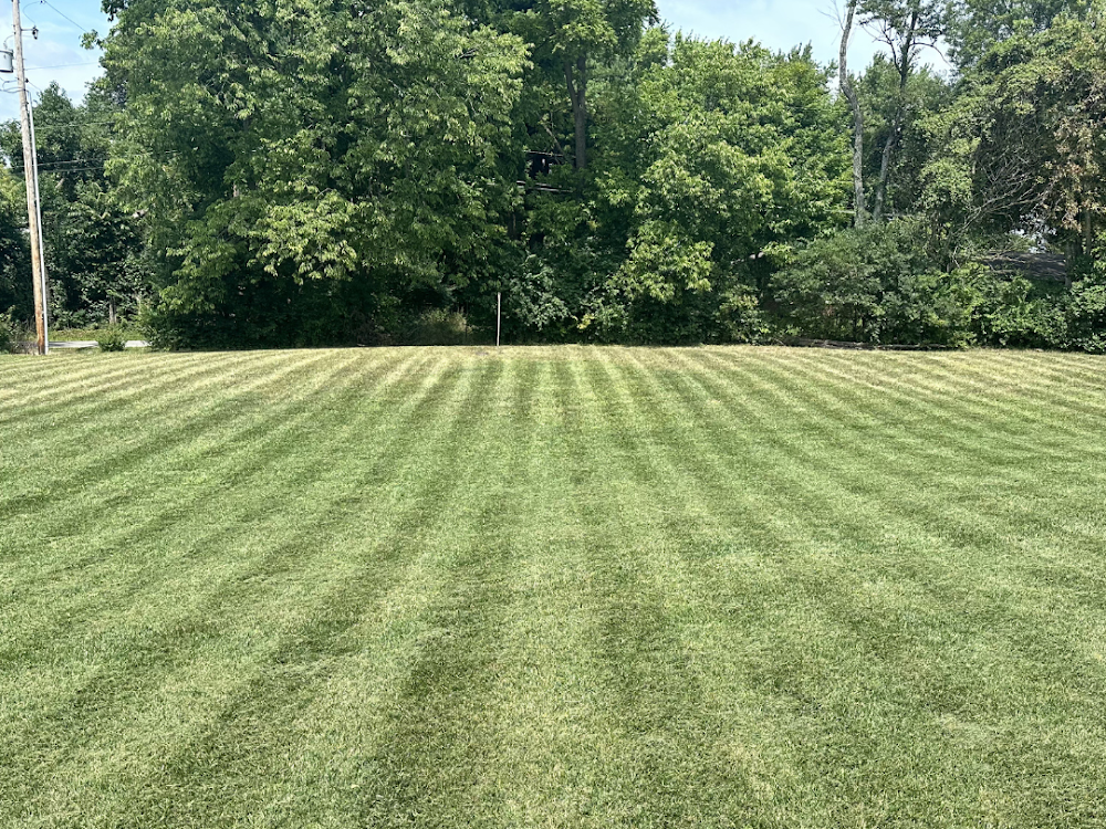 A large Columbus, Ohio lawn freshly mowed with crisp stripe lines by All Cutz LLC
