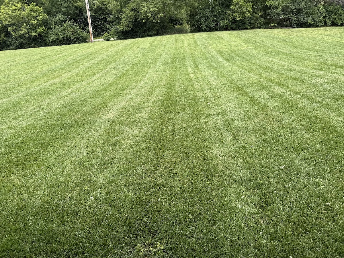 A freshly mowed lawn with crisp stripe lines in Columbus, Ohio